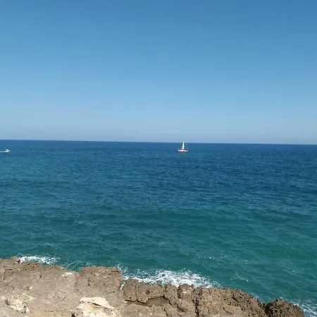Apartamento New Algaida Playa Concha Apartment Oropesa del Mar